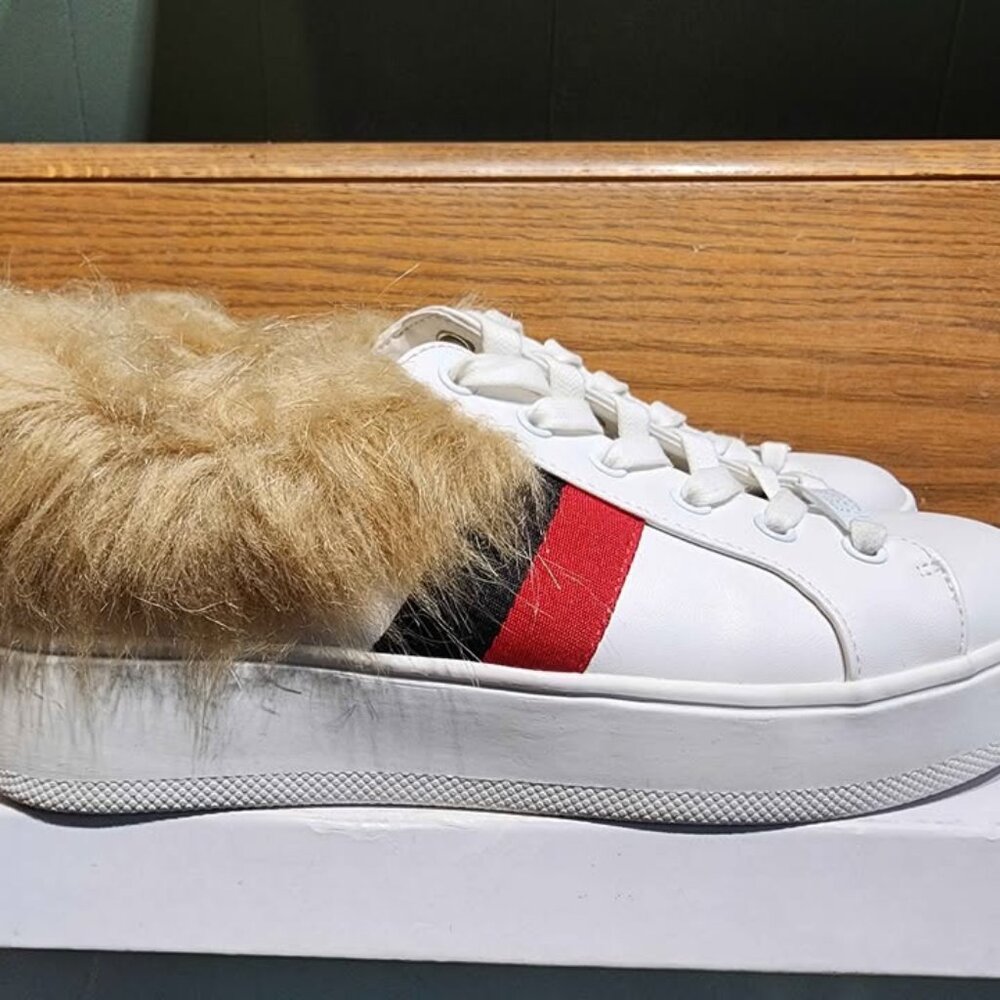 Steve Madden Sneakers! Brand new in box size 7